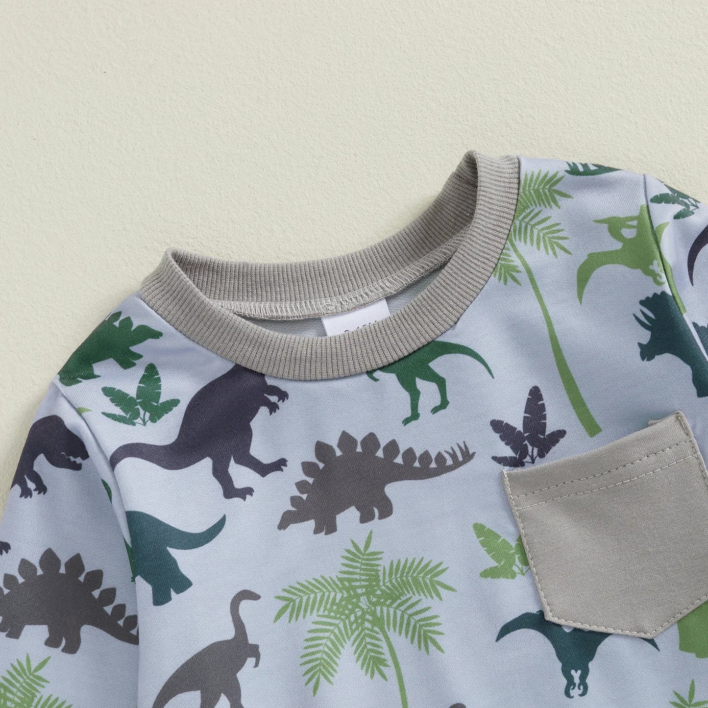 Autumn Toddler Baby Boys Dinosaur Print Casual Suit Round Neck Long Sleeve Sweatshirt Drawstring Elastic Waist Solid Sweatpants