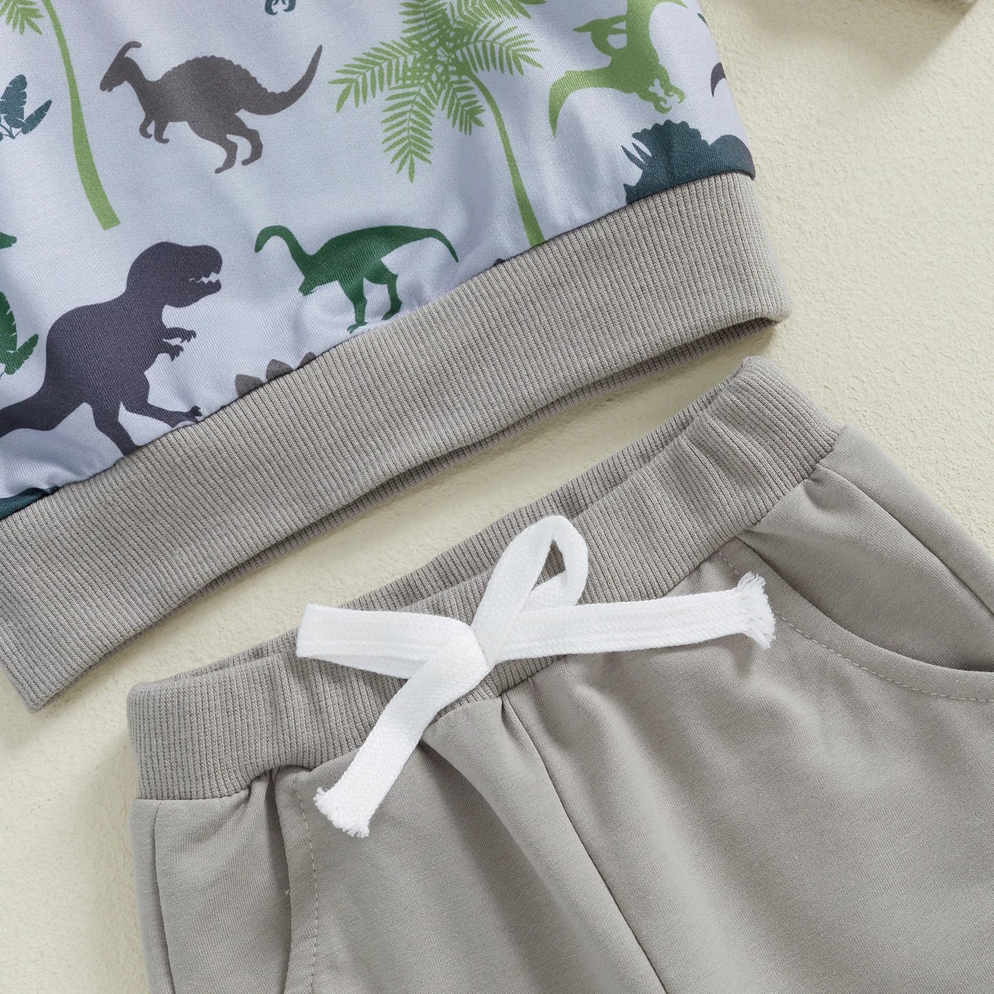 Autumn Toddler Baby Boys Dinosaur Print Casual Suit Round Neck Long Sleeve Sweatshirt Drawstring Elastic Waist Solid Sweatpants